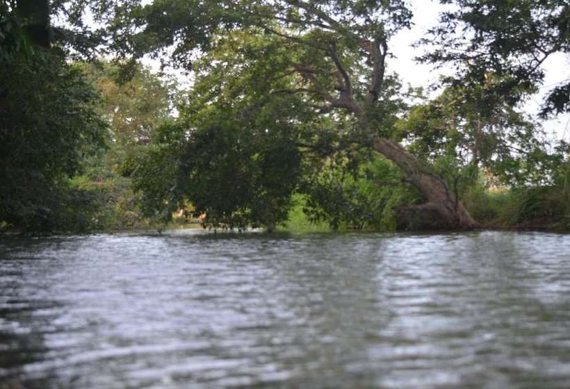 בית מלון כפרי Makulu Safari Camping