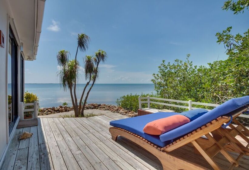 فندق Royal Belize, A Muy Ono Resort