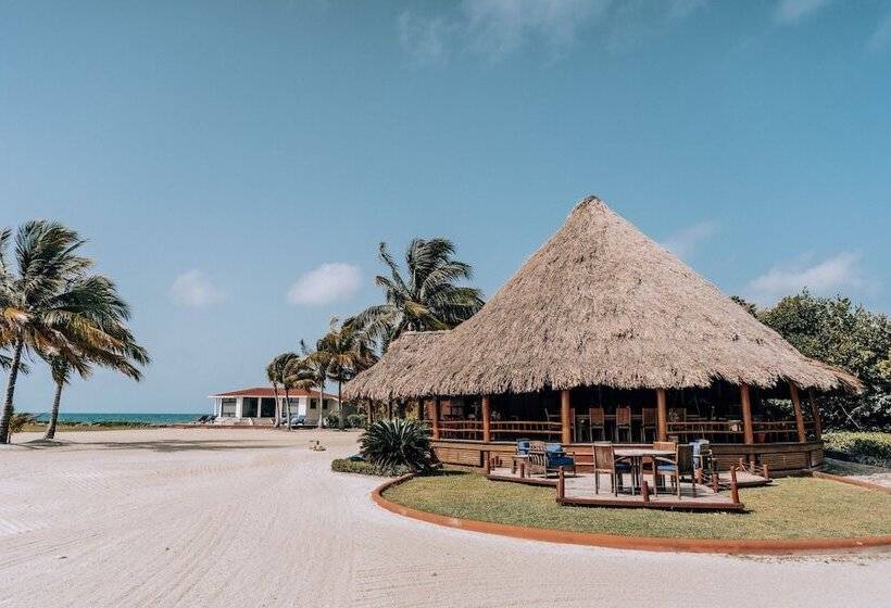 فندق Royal Belize, A Muy Ono Resort