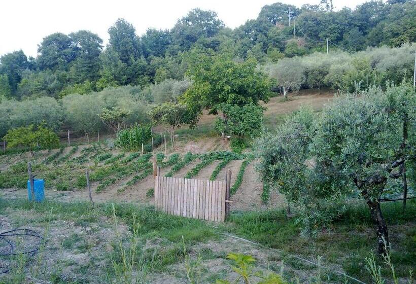乡村酒店  Agriturismo Le Cammarose