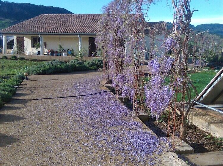 فندق ريفى Les Jardins D'azrou