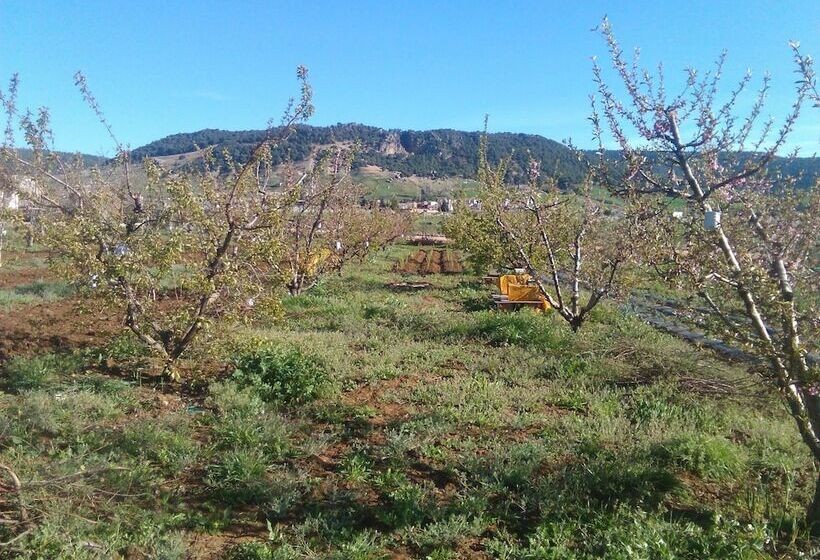 فندق ريفى Les Jardins D'azrou