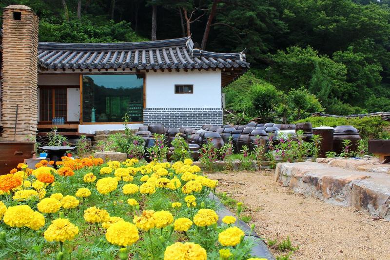 بنسيون Chungwondang