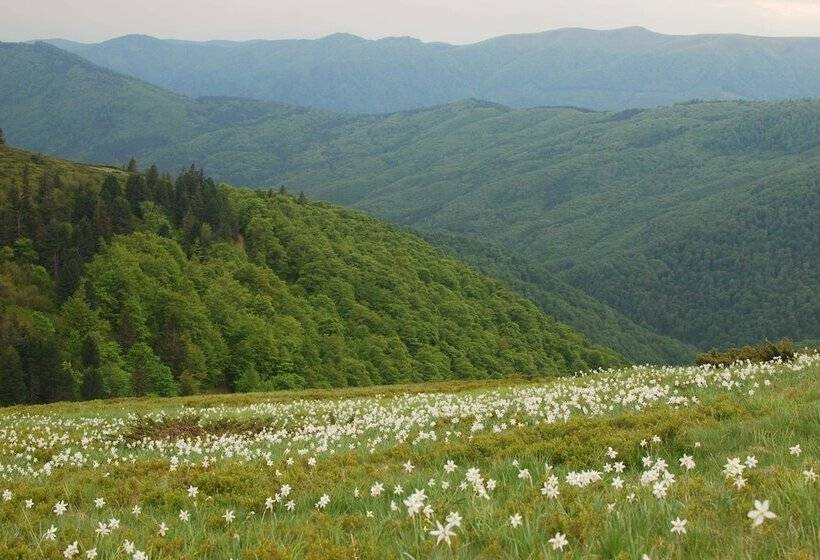 بنسيون Zelena Dacha