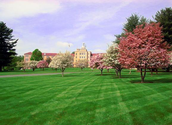 Bolger Hotel And Conference Center
