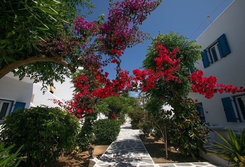 Acrogiali Beachfront Hotel Mykonos