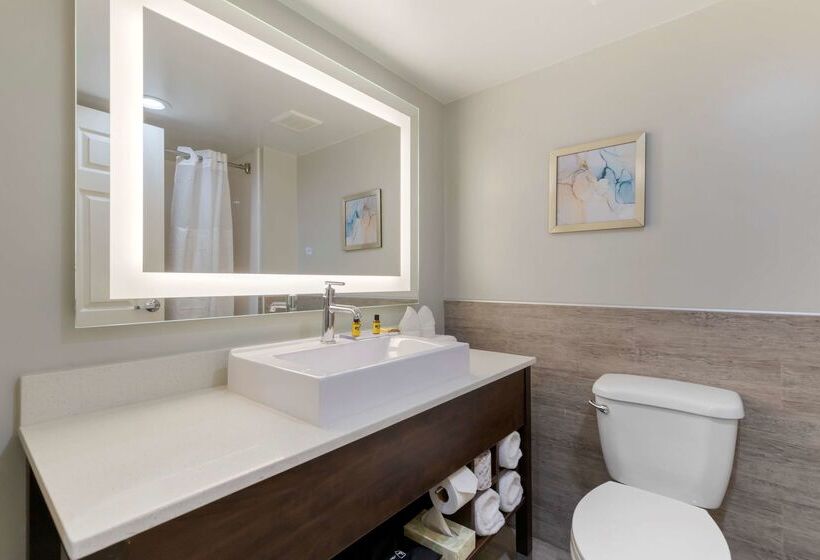 هتل Best Western Plus Mcallen Airport