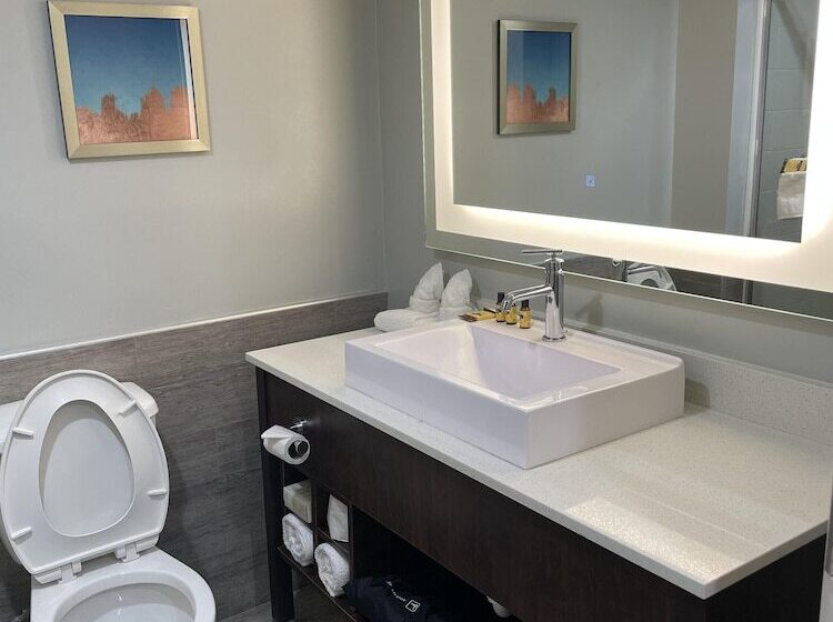 هتل Best Western Plus Mcallen Airport