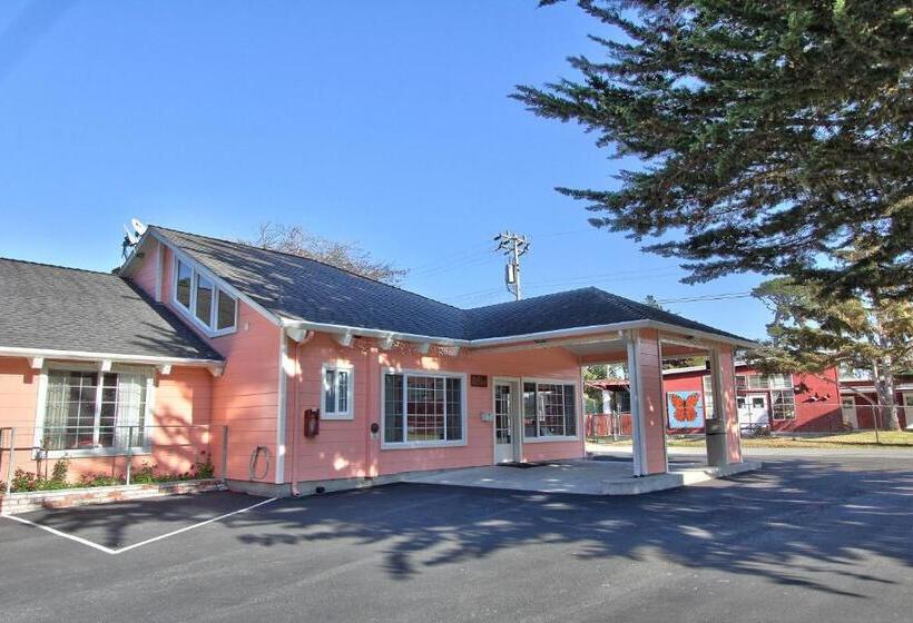 هتل Butterfly Grove Inn