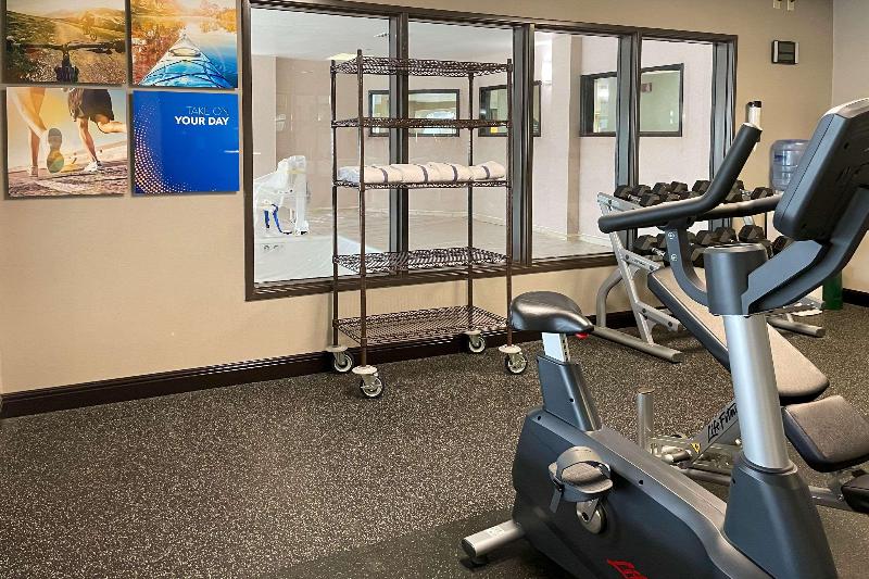 هتل Comfort Inn & Suites Grand Blanc Flint