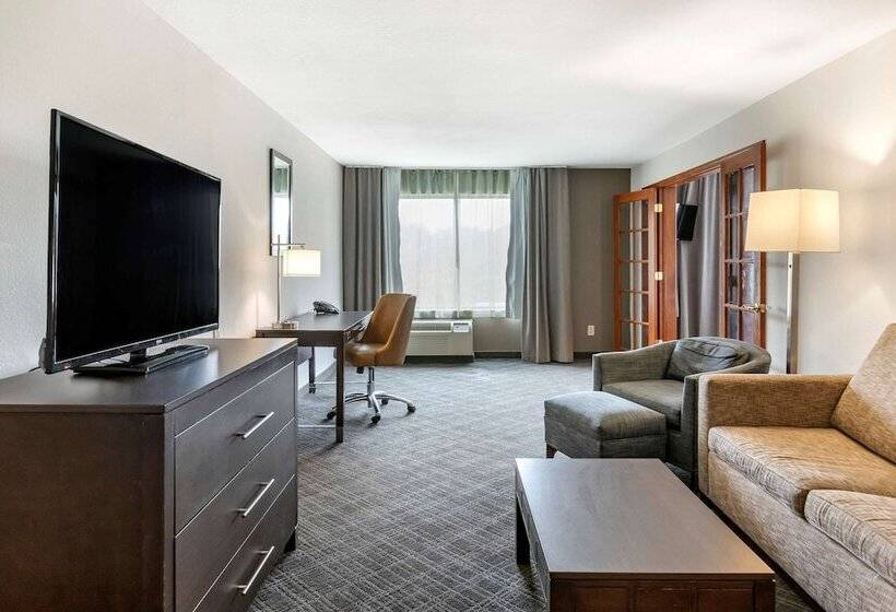 هتل Comfort Inn & Suites Grand Blanc Flint