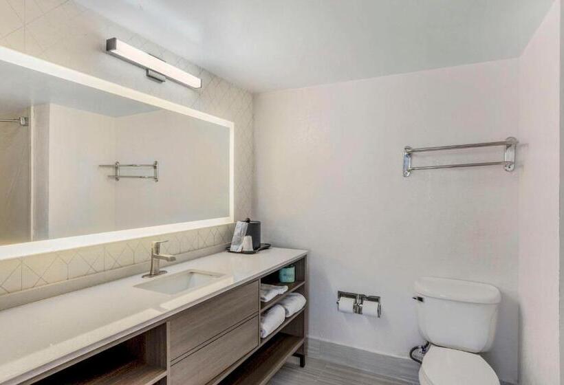 酒店 Comfort Inn & Suites Voorhees Mt Laurel