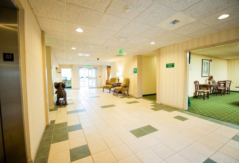 ホテル Greystone Inn & Suites