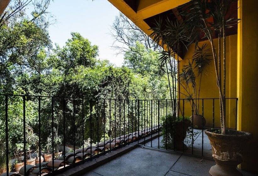 هتل Hacienda Del Molino