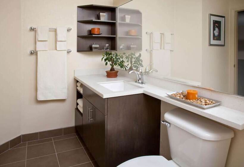 בית מלון כפרי Sonesta Simply Suites Detroit Southfield