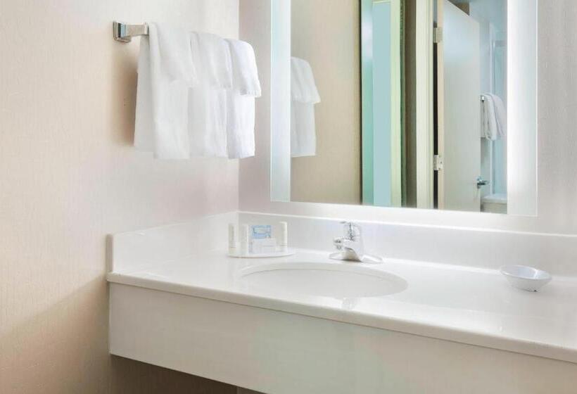 Hotel Springhill Suites Asheville