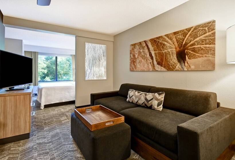هتل Springhill Suites By Marriott Atlanta Kennesaw