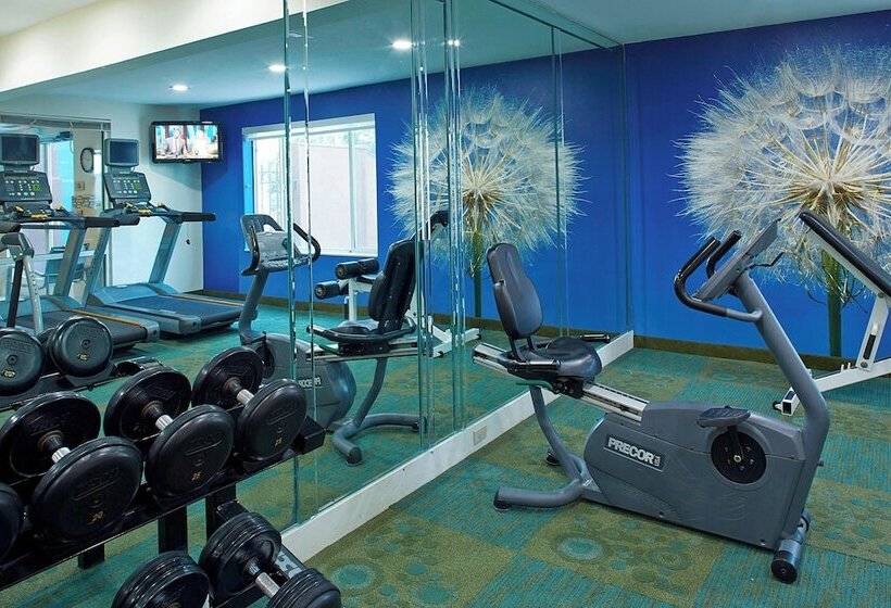 فندق Springhill Suites By Marriott Atlanta Six Flags