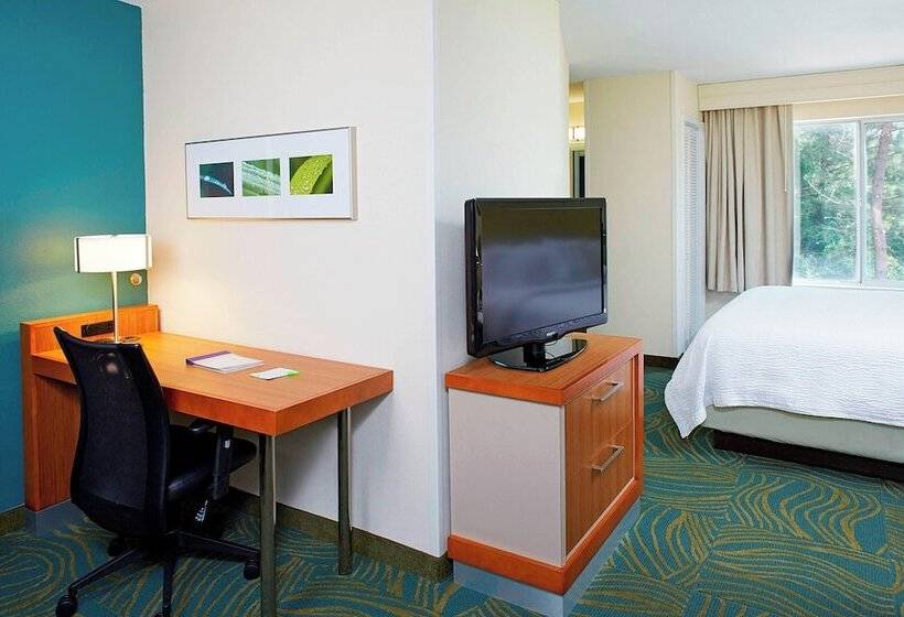 فندق Springhill Suites By Marriott Atlanta Six Flags