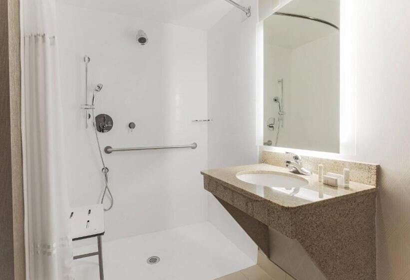 호텔 Springhill Suites By Marriott Austin Parmer/tech Ridge