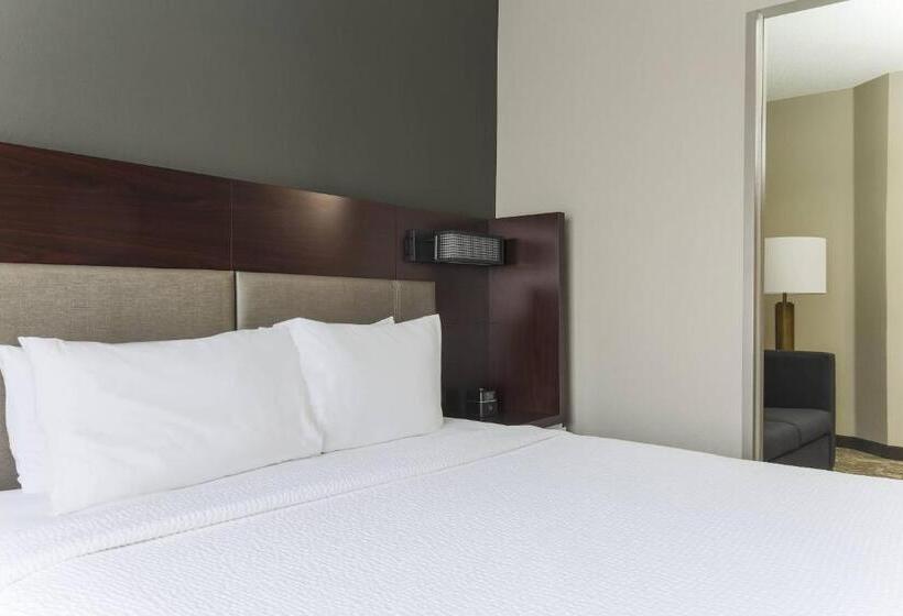 호텔 Springhill Suites By Marriott Austin Parmer/tech Ridge