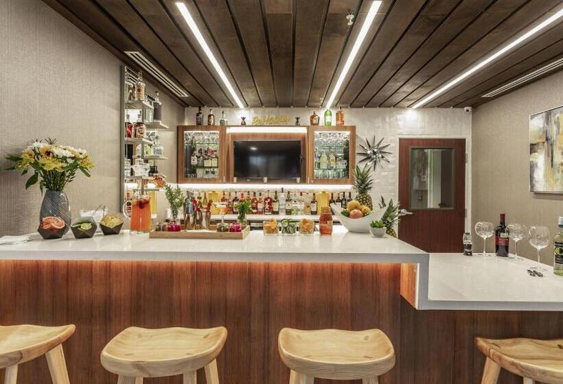 호텔 Springhill Suites By Marriott Austin The Domain Area