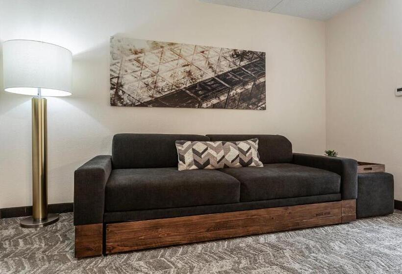 호텔 Springhill Suites By Marriott Austin The Domain Area