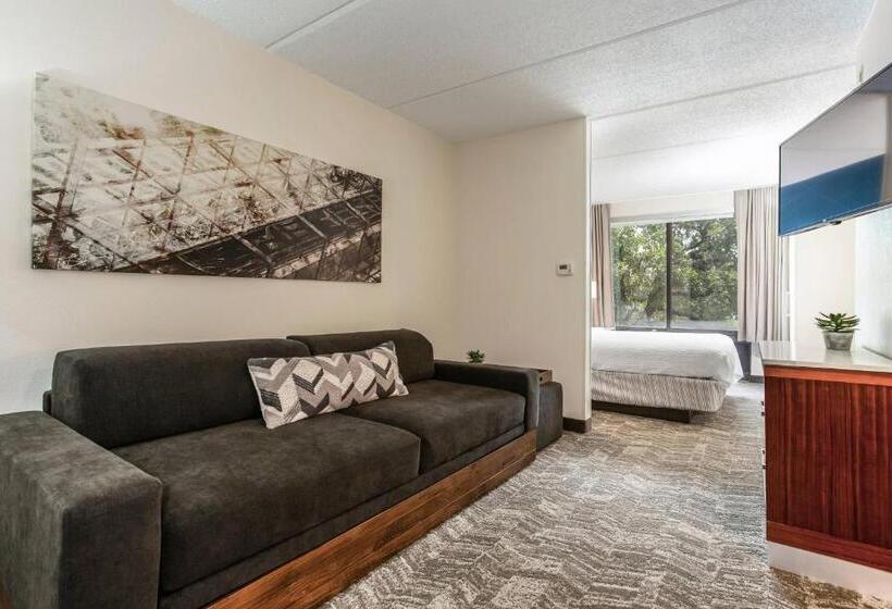 호텔 Springhill Suites By Marriott Austin The Domain Area