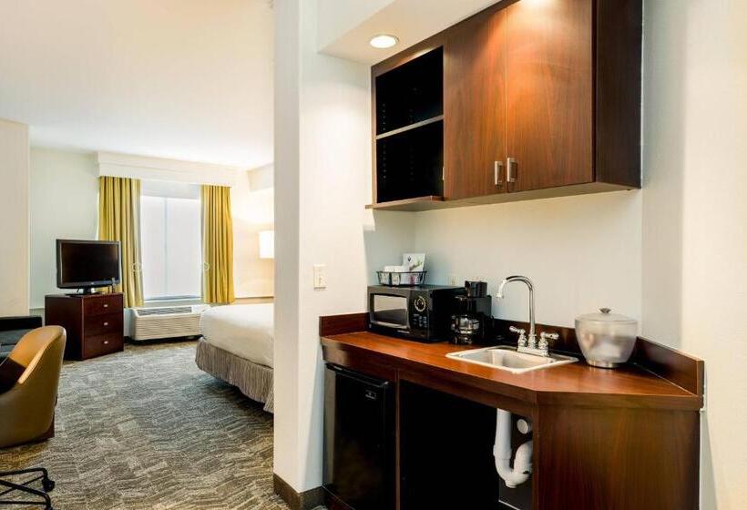 فندق Springhill Suites Florence