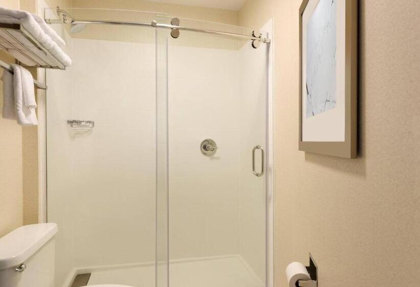 فندق Springhill Suites By Marriott Little Rock