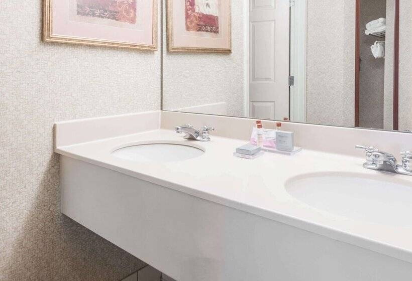 בית מלון כפרי Wingate By Wyndham Airport   Rockville Road