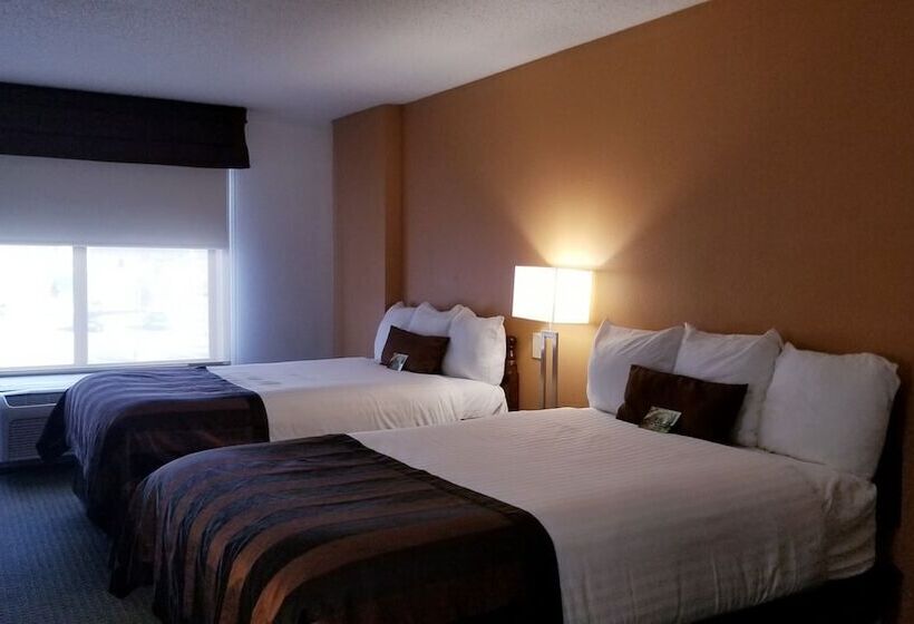 בית מלון כפרי Wingate By Wyndham Airport   Rockville Road