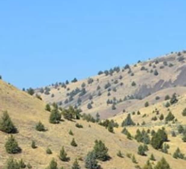 민박 Wilson Ranches Retreat