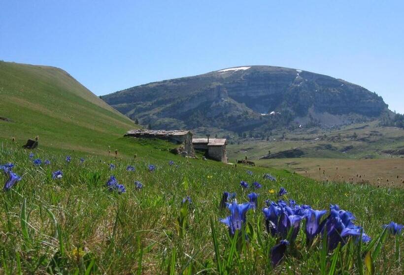 فندق Passo Buole