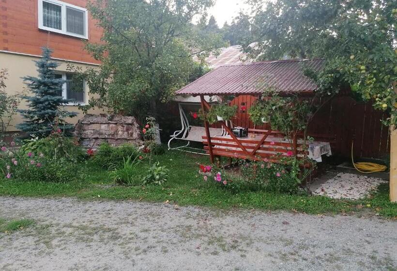 پانسیون Casa Todea