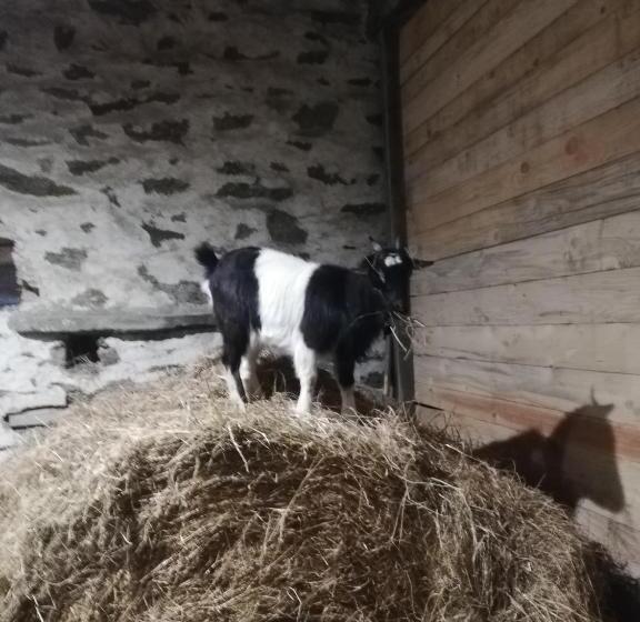 ペンション La Colline Des Hauts Bocages Vendéens