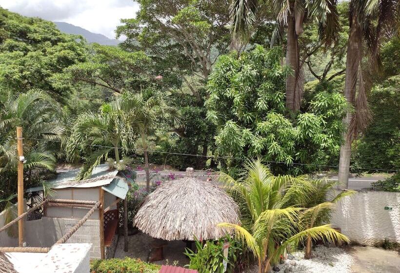 پانسیون Manakin Tayrona