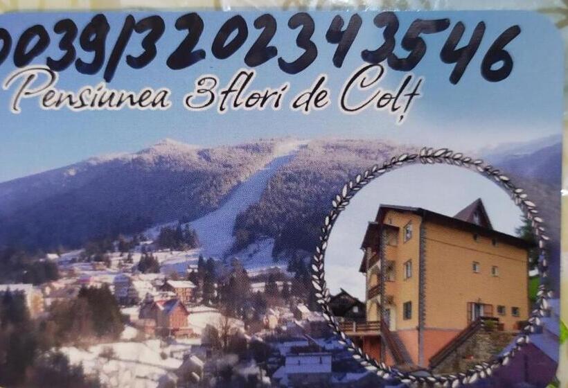 Pensiunea 3flori De Colț
