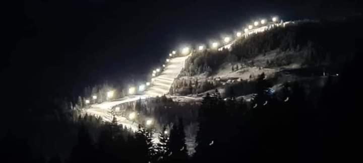 Pensiunea 3flori De Colț