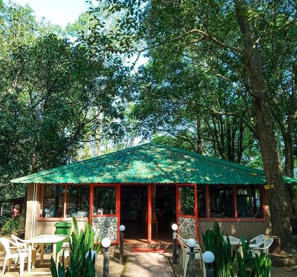 The Jungle Resort Amba