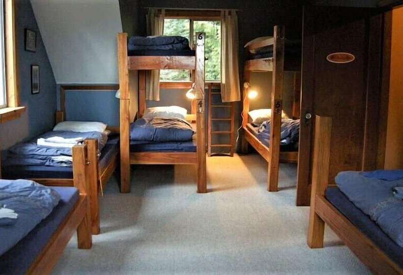 فندق صغير Up The Creek Backpacker's Lodge