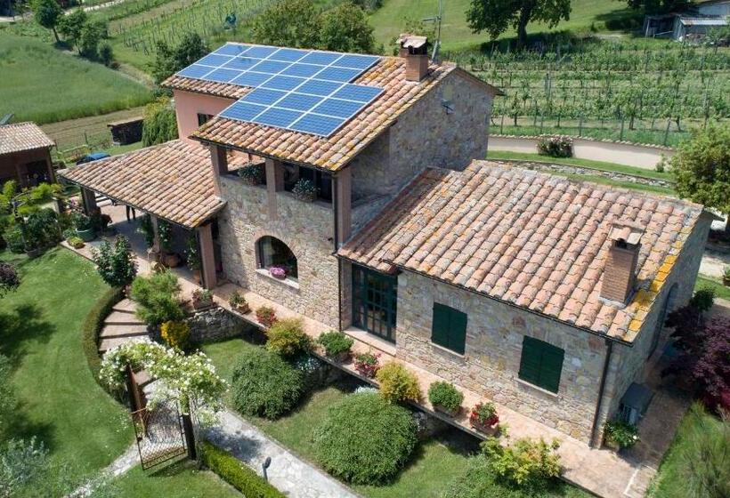 B&b Pino Cedro