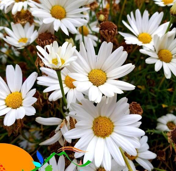 هتل Miravalle Quilotoa