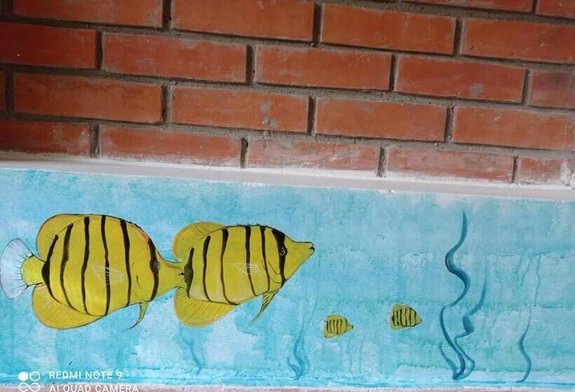 پانسیون Casa Caracola