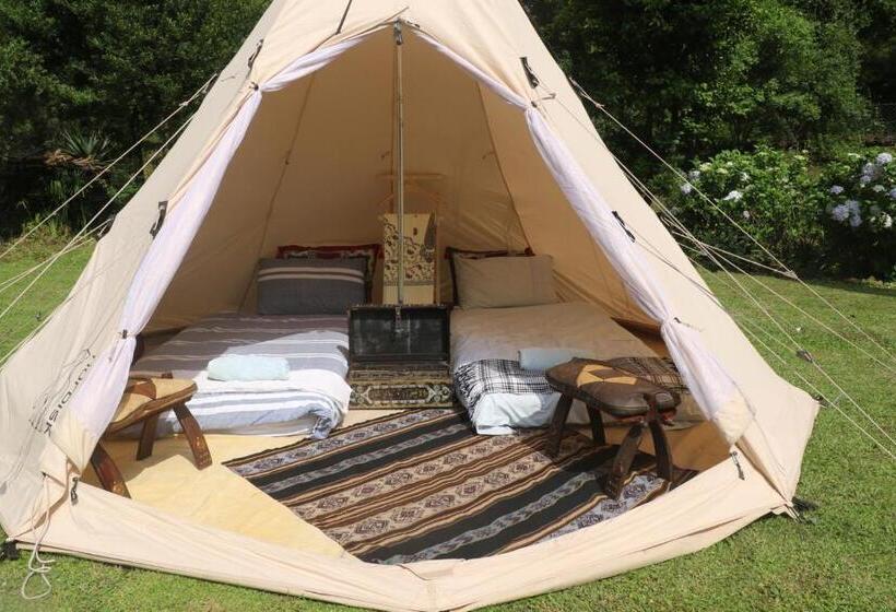 بنسيون Kukummi Lodge   Formerly Mackaya Bella Country Lodge