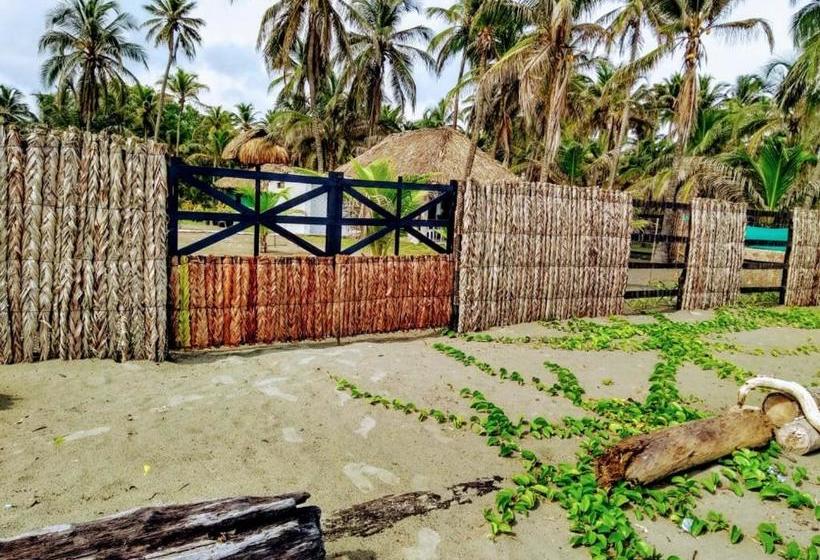 پانسیون Zéfiro Hostal