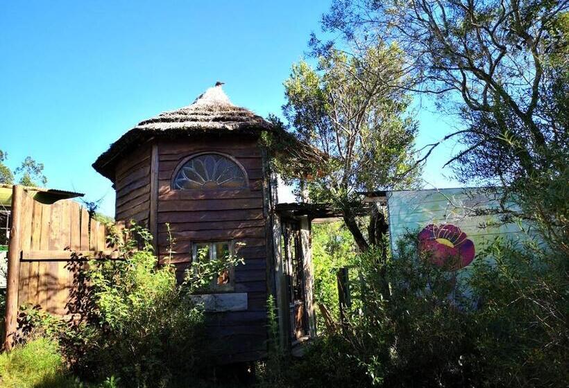 هاستل Octogono Om Shanti