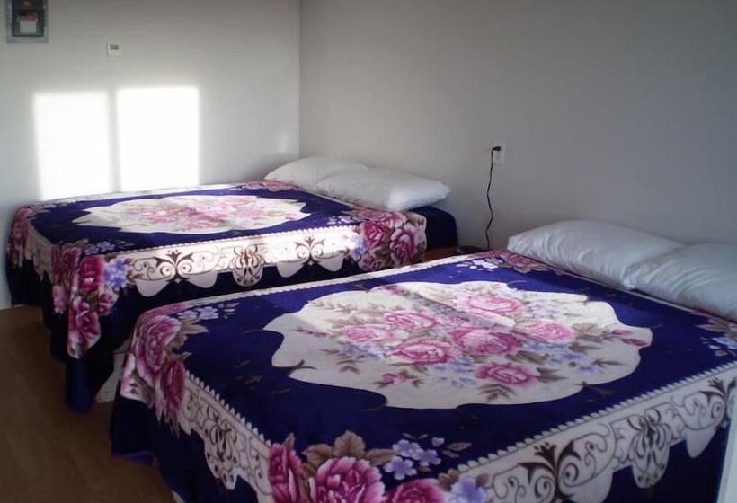 הוסטל Welcome Inn