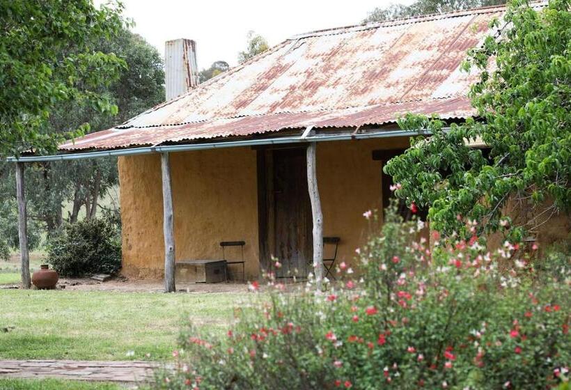 Отель Experience Country Mudgee At Lone Pine Farmhouse