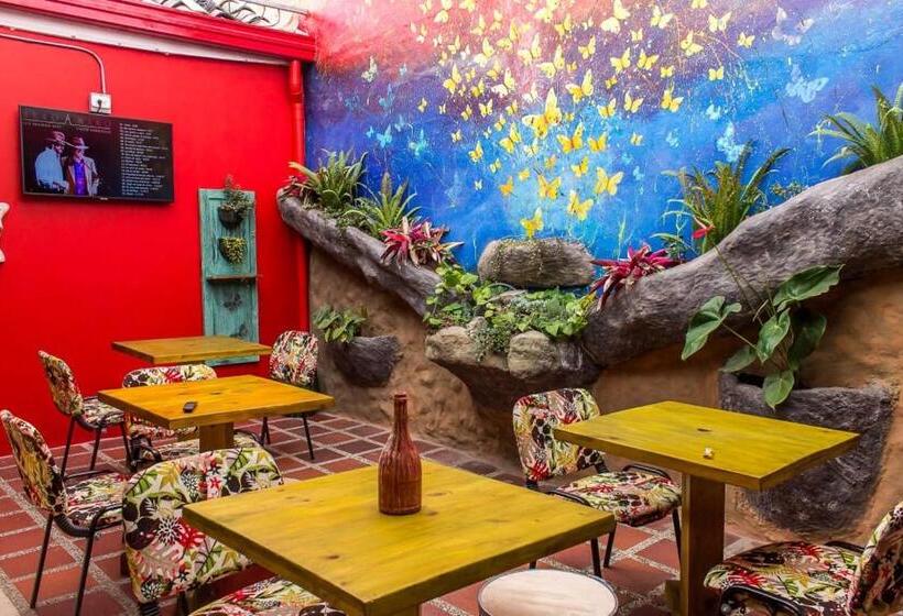 פנסיון Hostal Macondo Inn